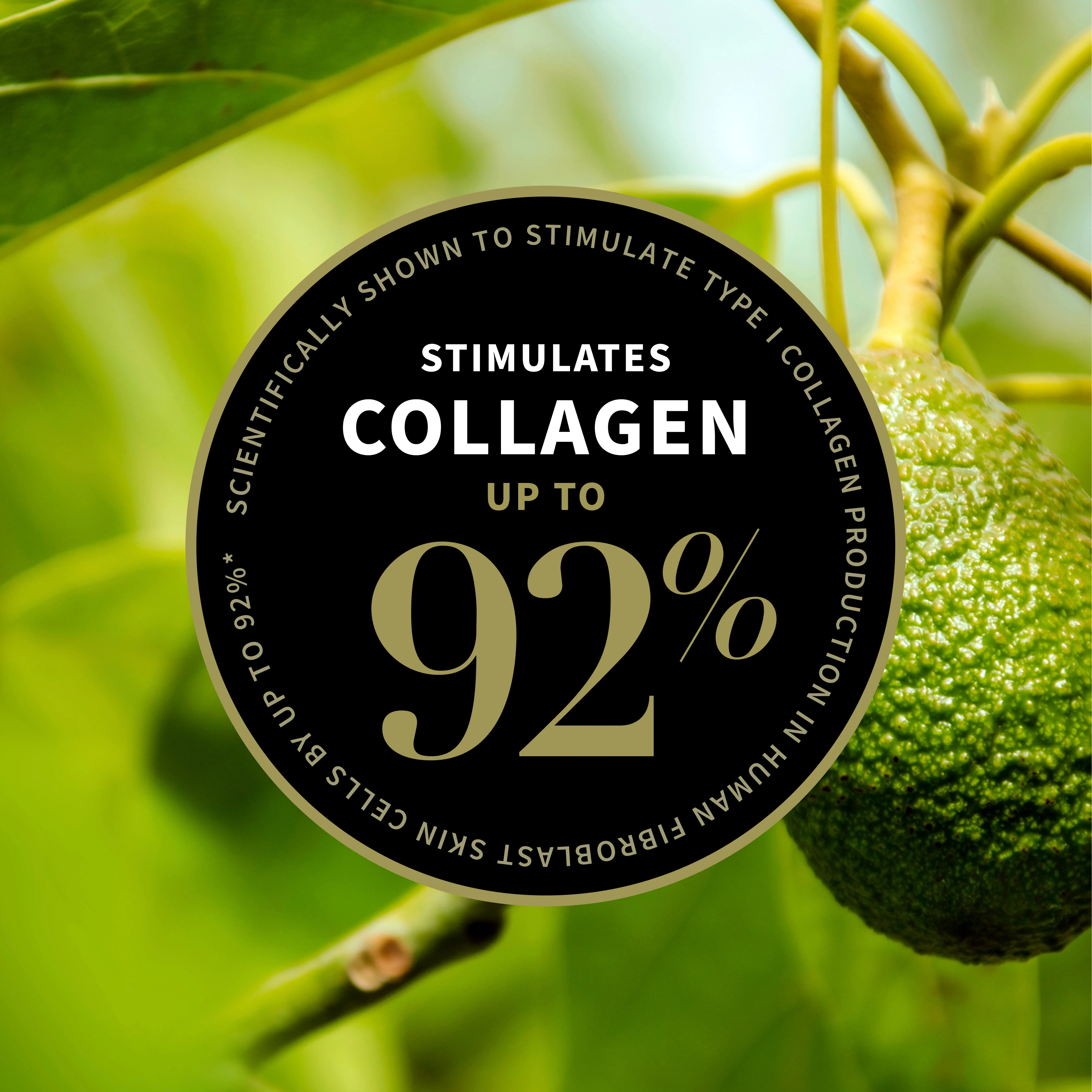 Antipodes Avocado Pear Collagen-Boosting Night Cream - Image 4