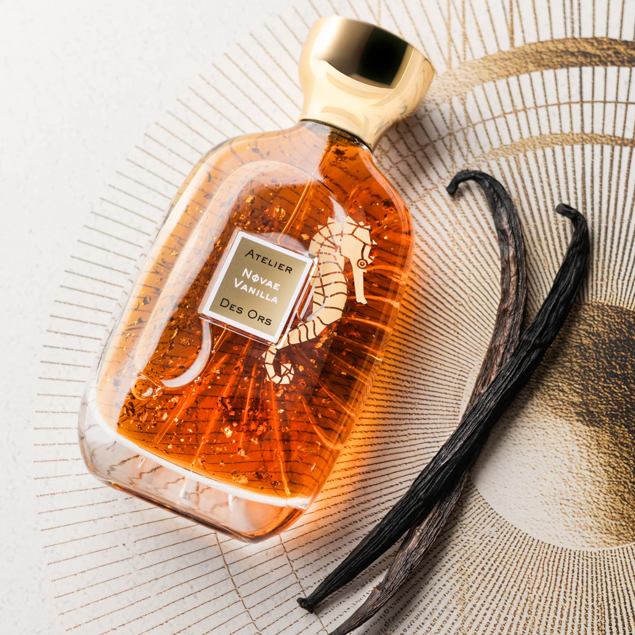 Atelier Des Ors Novae Vanilla Eau De Parfum - Image 6