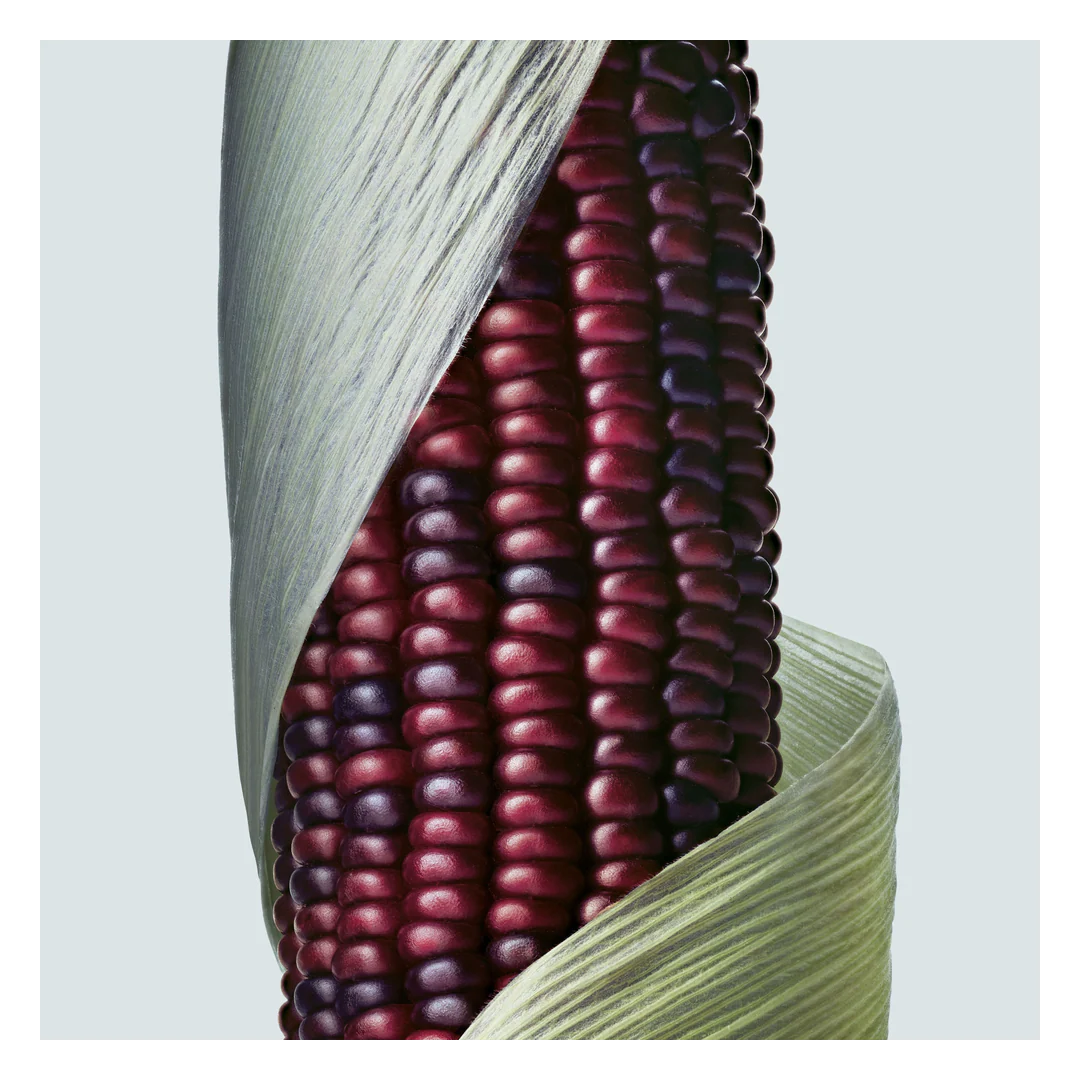 Aveda Botanical Repair Intensive Strengthening Masque Rich - Image 6