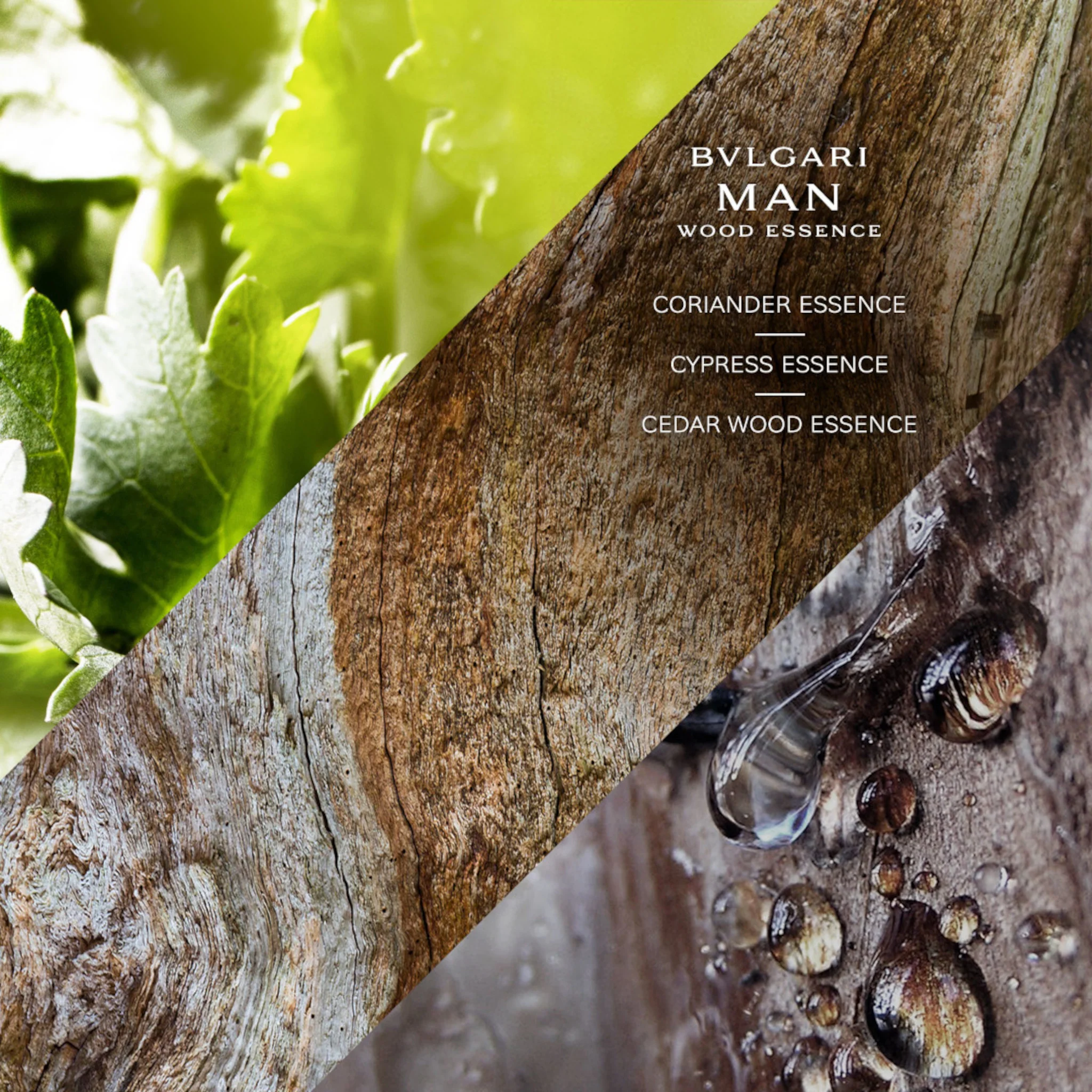 BVLGARI Man Wood Essence Eau de Parfum Spray 100ml Gift Set - Image 6