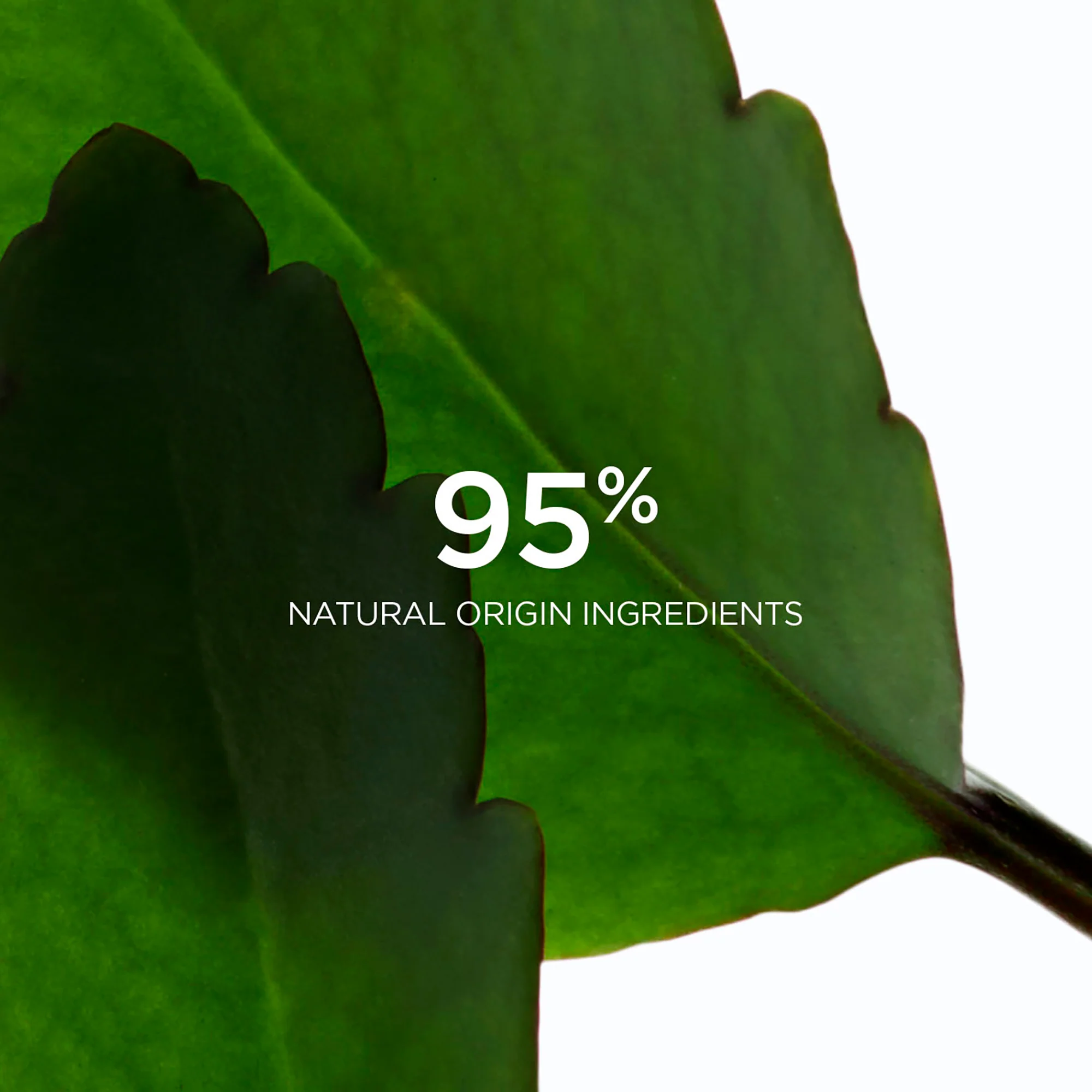Clarins Fresh Scrub - Image 8