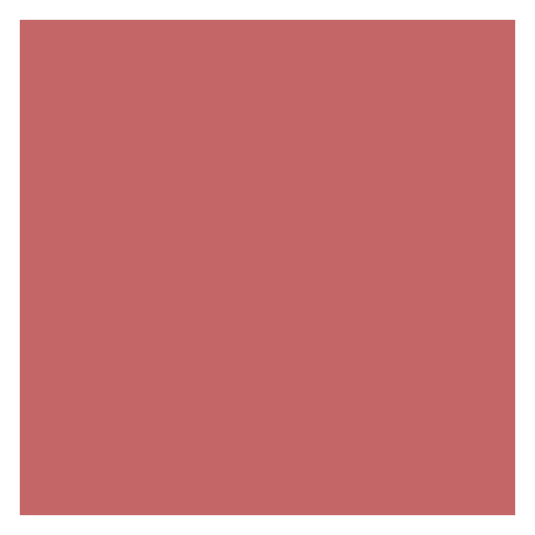 Clarins Joli Blush - Image 14
