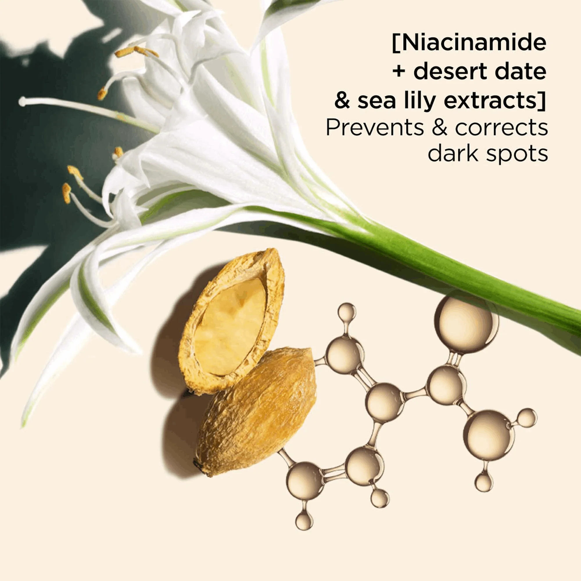 Clarins Nutri-Lumiere SPF15 Day Cream - Image 4