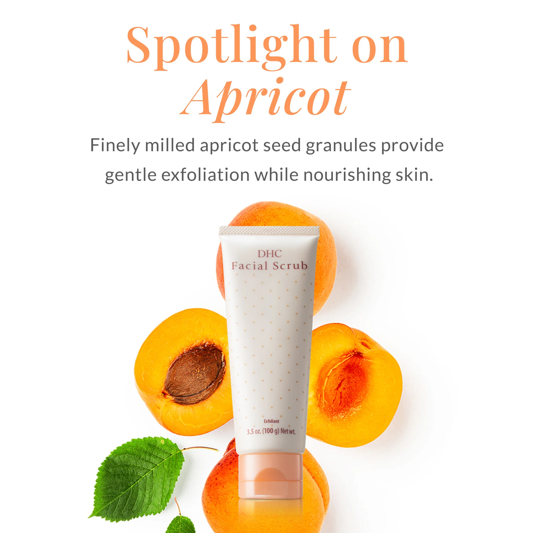 DHC Facial Scrub - Image 5