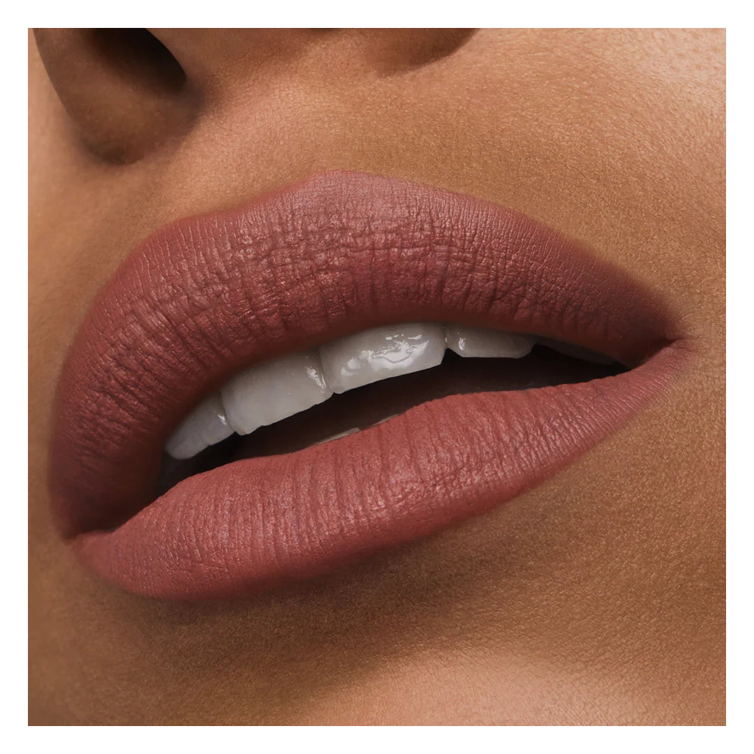 Estee Lauder Pure Color Matte Lipstick - Image 69