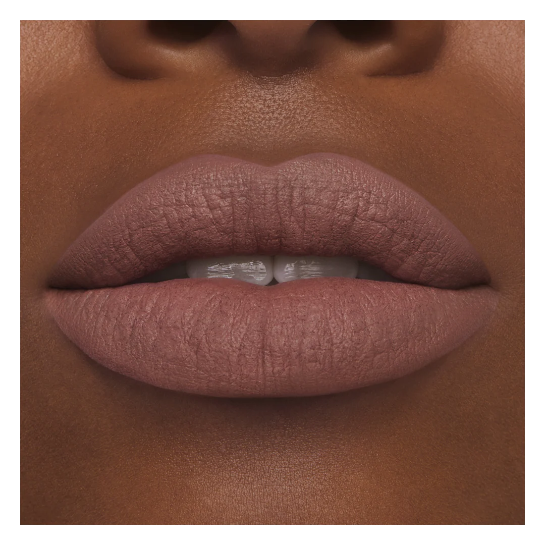 Estee Lauder Pure Color Matte Lipstick - Image 89