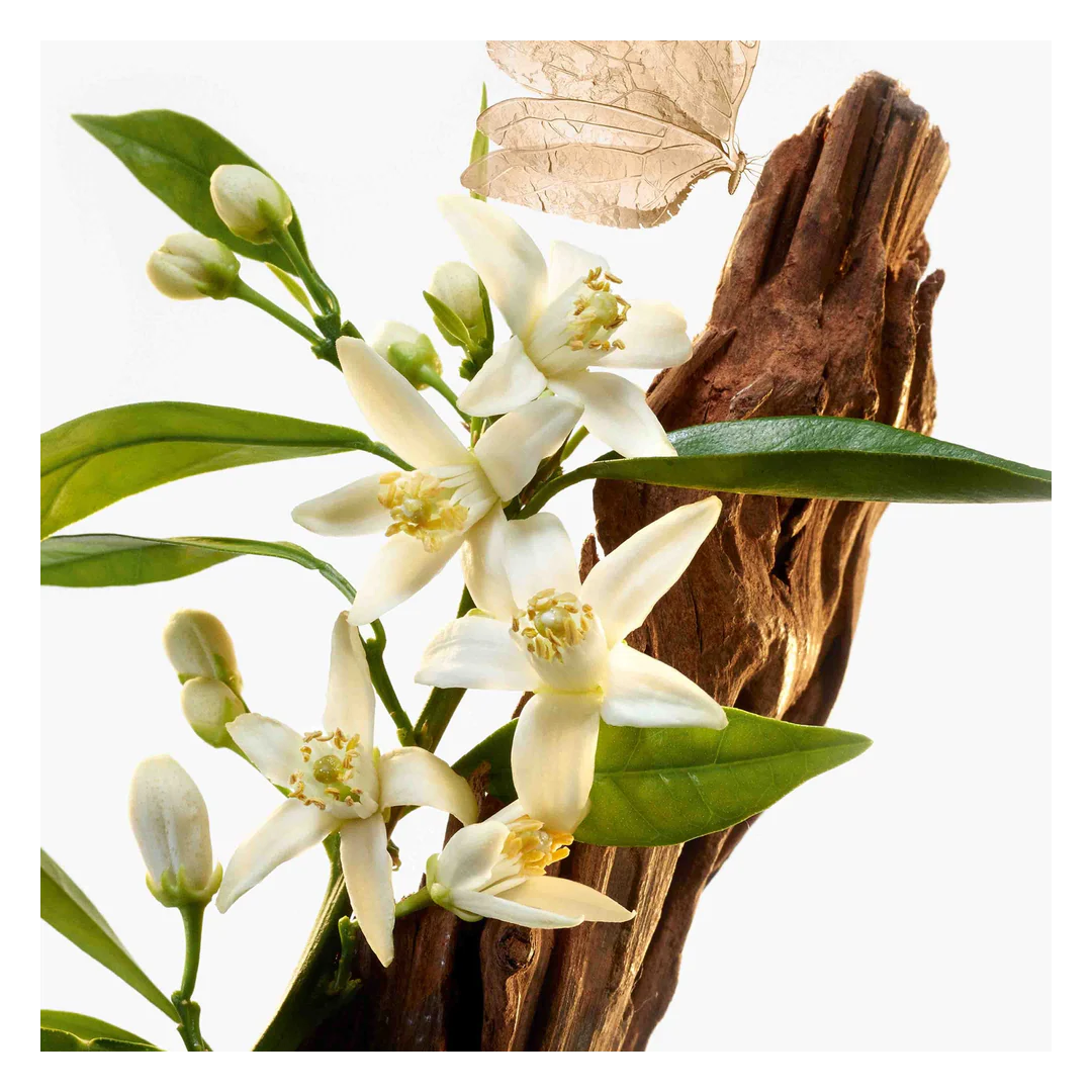 Goutal Le Temps des Reves Eau de Toilette Spray - Image 3