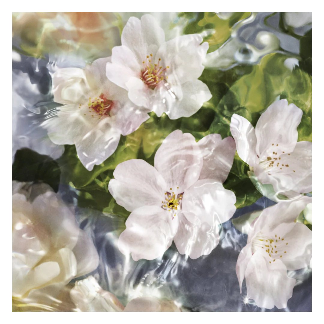 GUERLAIN Aqua Allegoria Flora Cherrysia Eau de Toilette Spray - Image 5