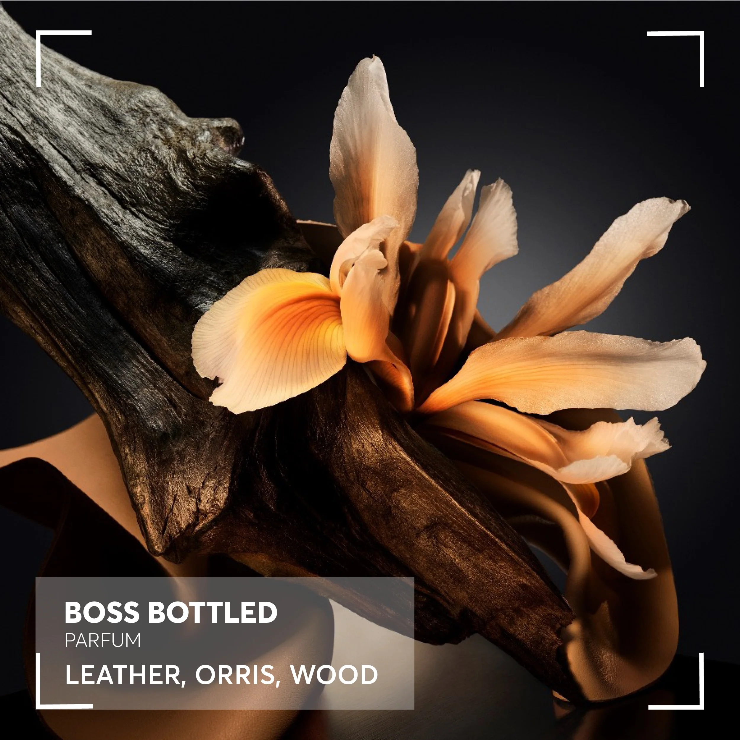 HUGO BOSS Boss Bottled Parfum Spray - Image 8