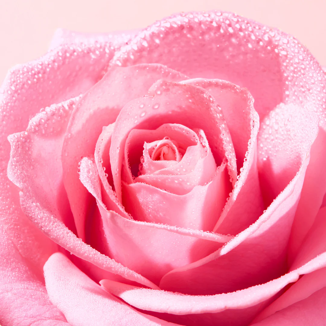 Nuxe Very Rose Refreshing Tonic Lotion - Image 3