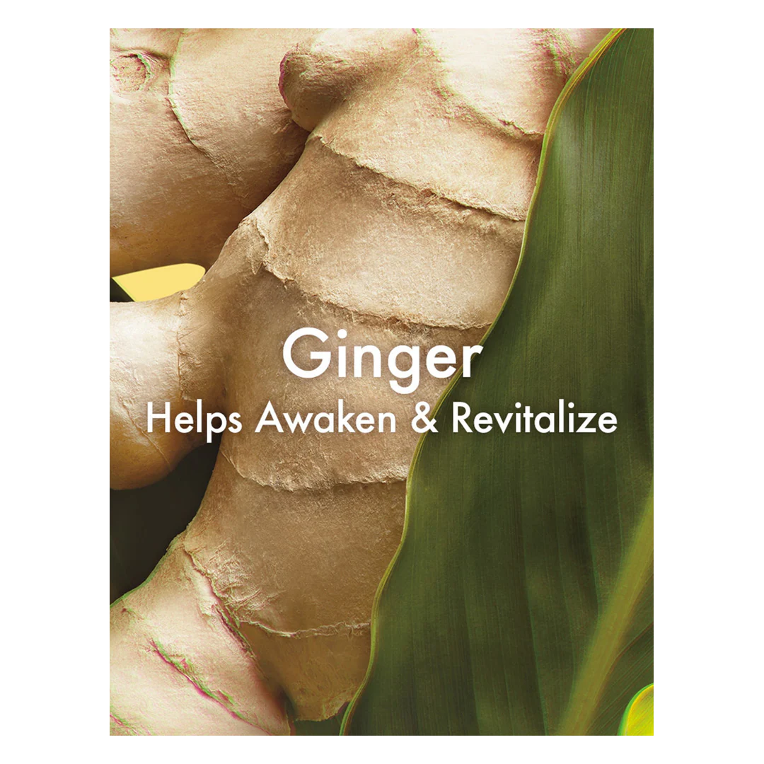 Origins Ginger Burst Savory Hand & Body Wash - Image 3