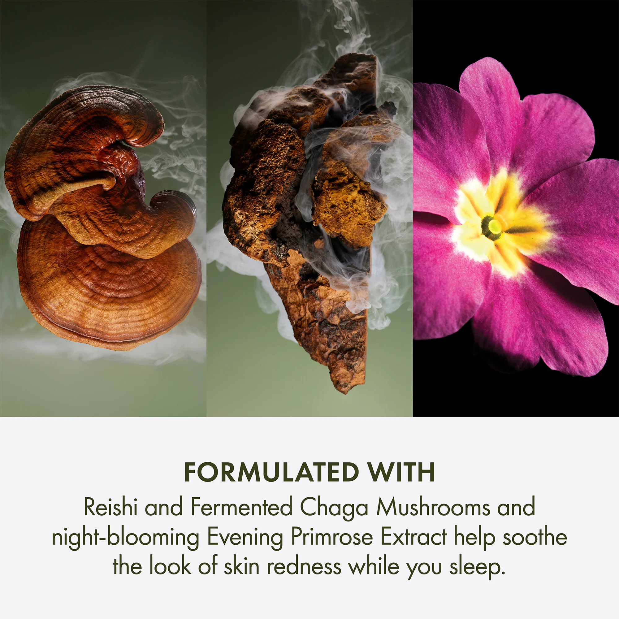 Origins Mega-Mushroom Overnight Recovery Cream - Image 4