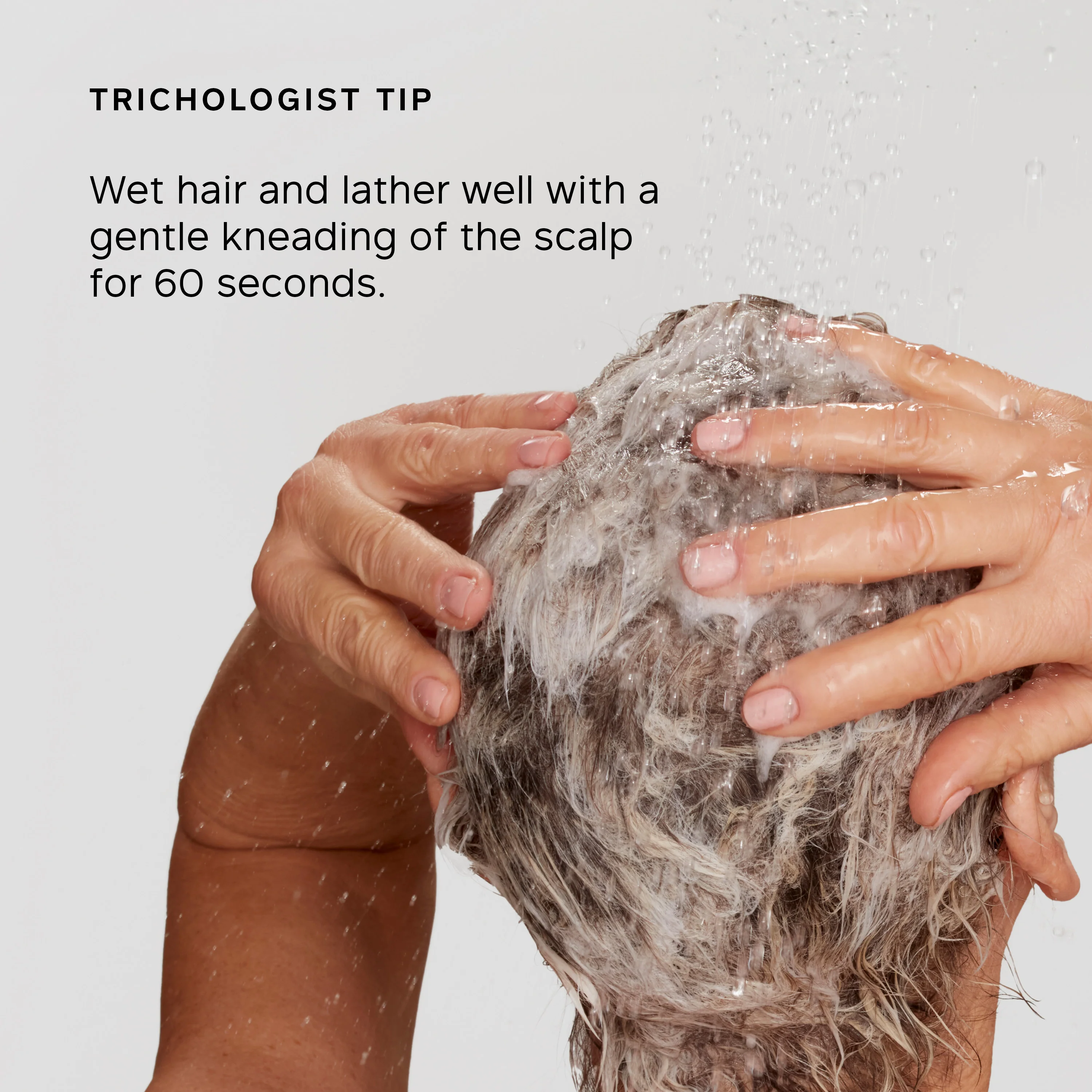 Philip Kingsley Pure Blonde / Silver Brightening Daily Shampoo - Image 8