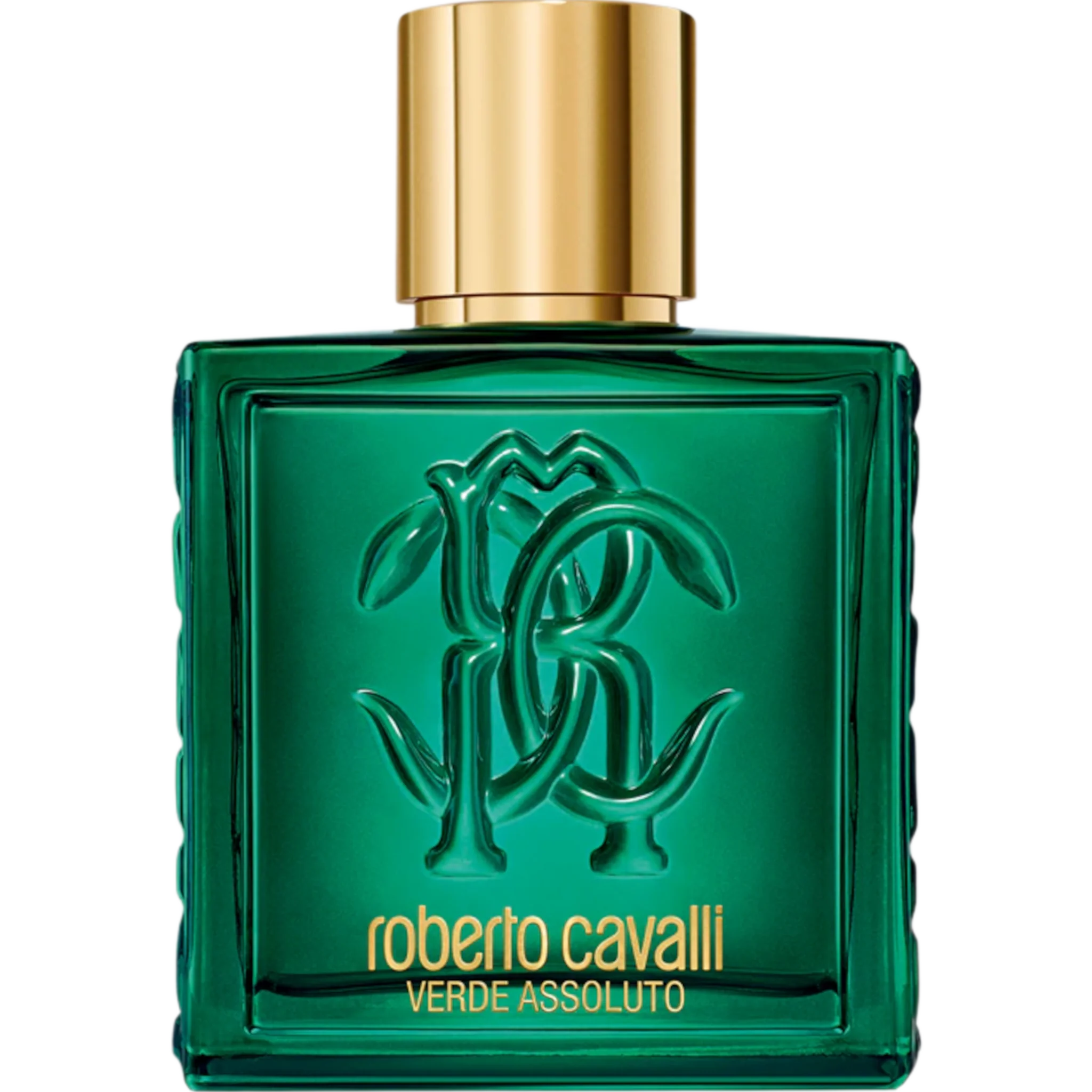 Roberto Cavalli Uomo Verde Assoluto Eau de Parfum Spray