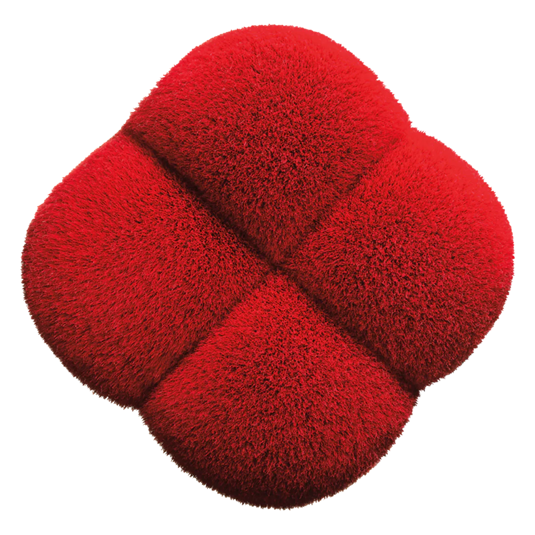 Shiseido Hanatsubaki Hake Polishing Face Brush - Image 2