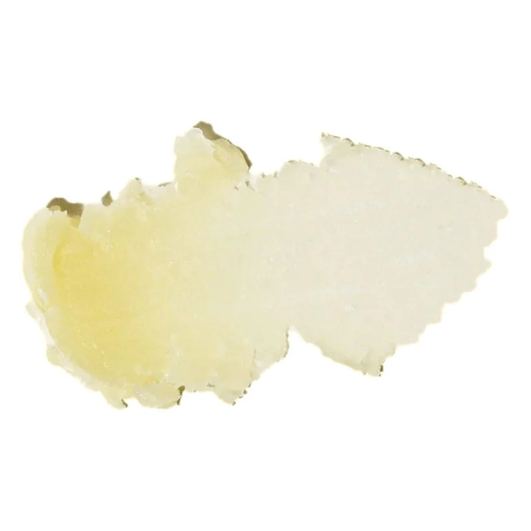 Sun Bum CocoBalm Lip Balm - Image 7
